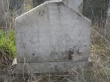 image of grave number 295257